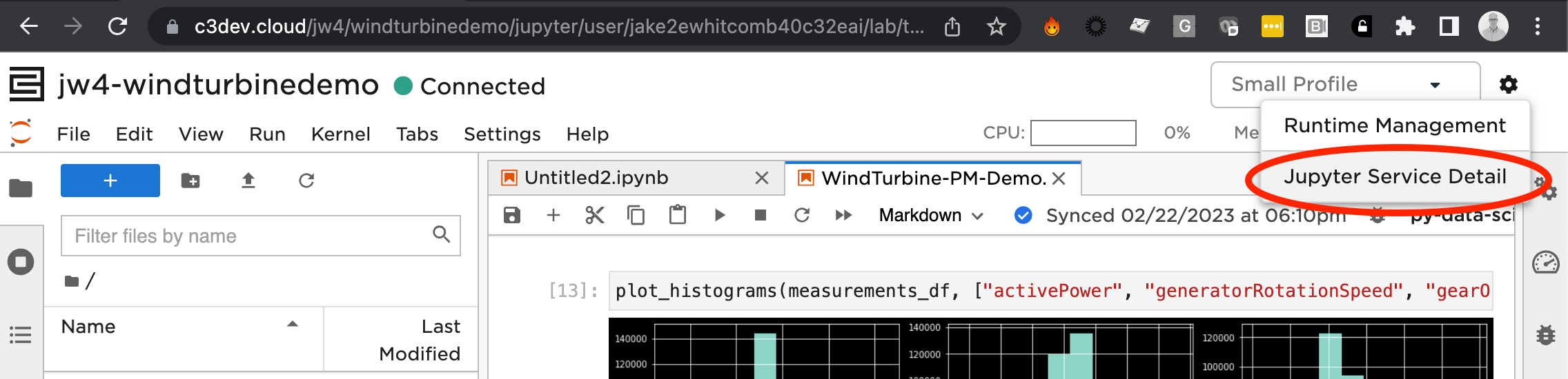 Jupyter Service Detail