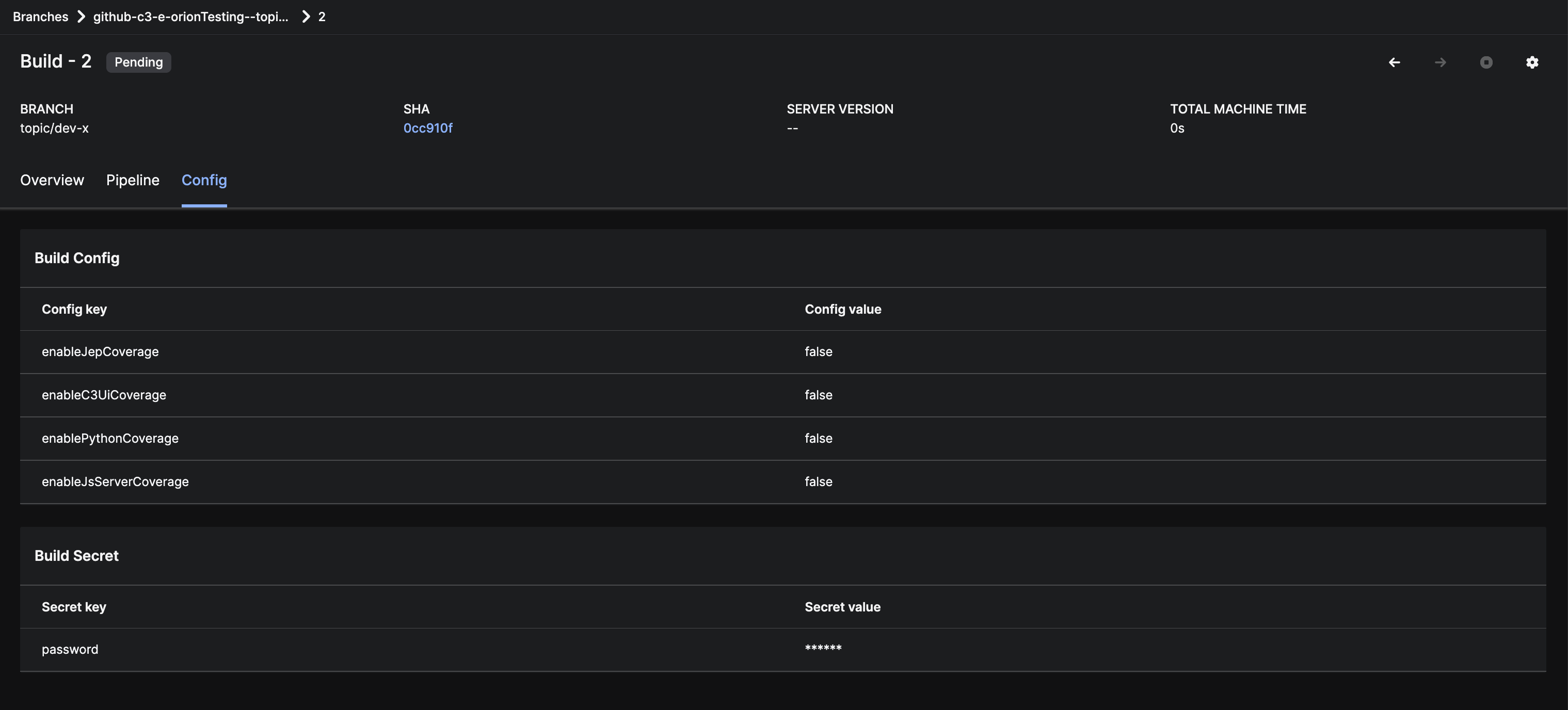 Build config values