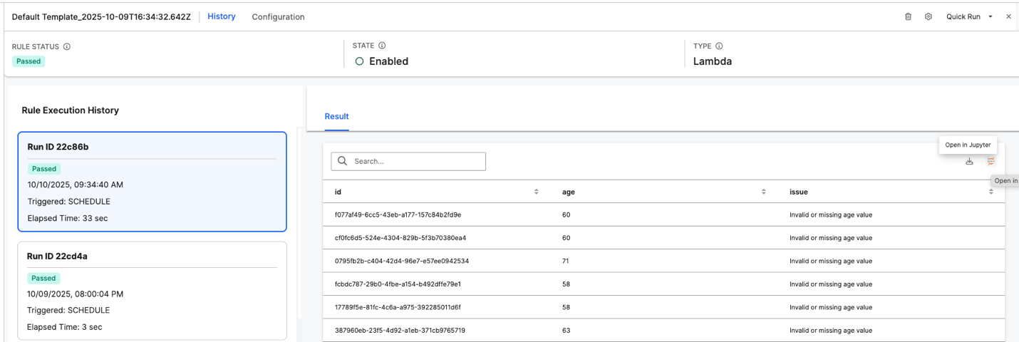 View Rule Execution History