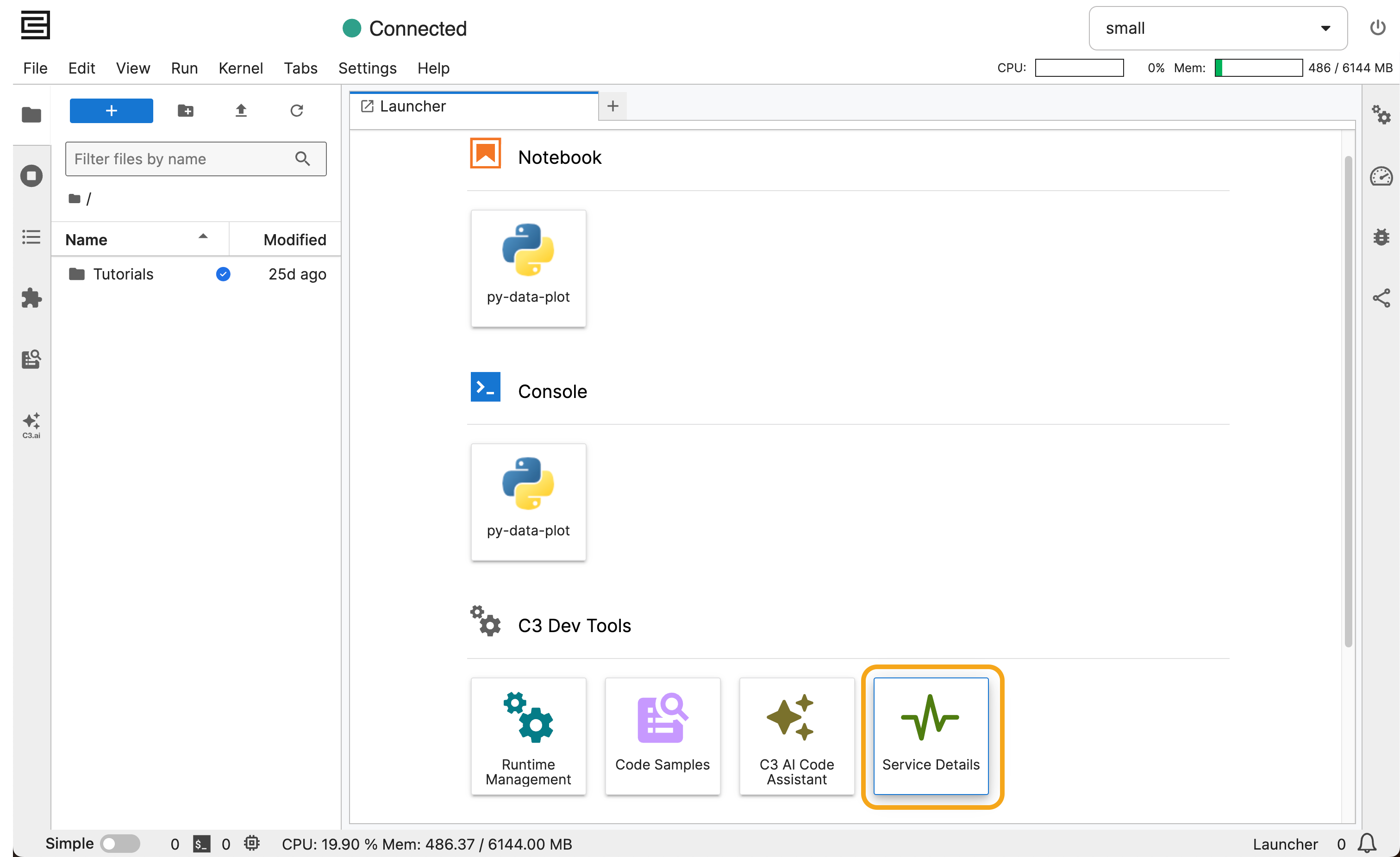 The Launcher tab in Jupyter with Service Details circled